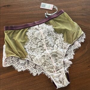 DORA LARSON Elegant Mesh and Lace Hi-Rise Brief